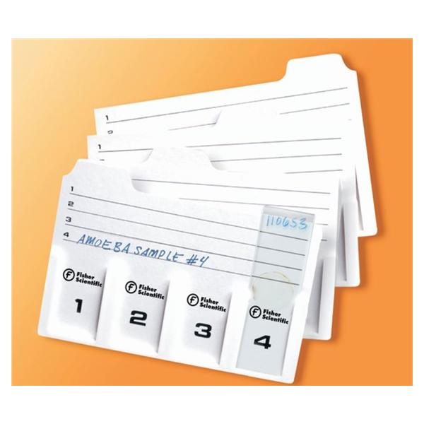 Fisher Scientific Co. Fisherbrand Microscope Slide Storage Holder White 4 Position 12-1/2x3" 12/PK - 1258825