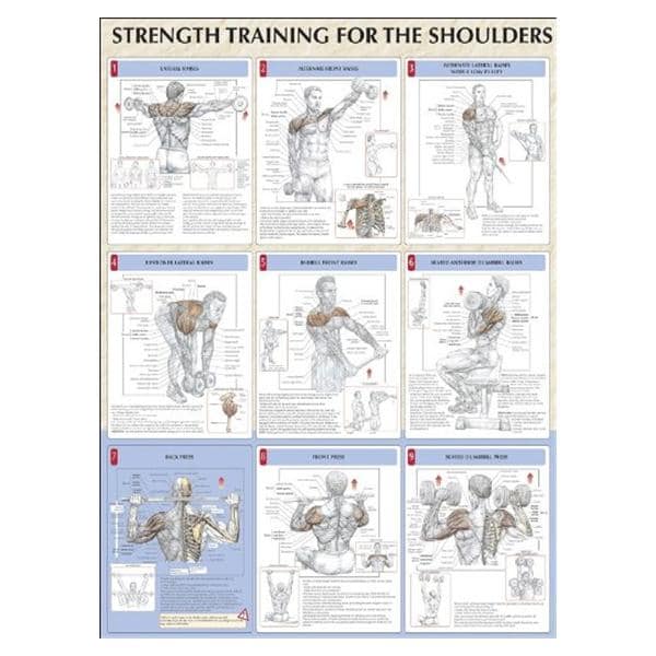 Human Kinetics, Inc Poster Instructional Strength Training for the Shoulders 24x31" Eachch - 736059342