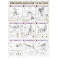 Human Kinetics, Inc Poster Instructional Strength Training for the Buttocks 24x31" Each - 736059377