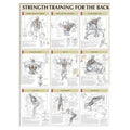 Human Kinetics, Inc Poster Instructional Strength Training for the Back 24x31" Each - 736059326