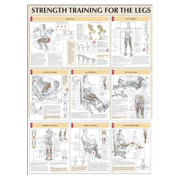 Human Kinetics, Inc Poster Instructional Strength Training for the Legs 24x31" Each - 736059385