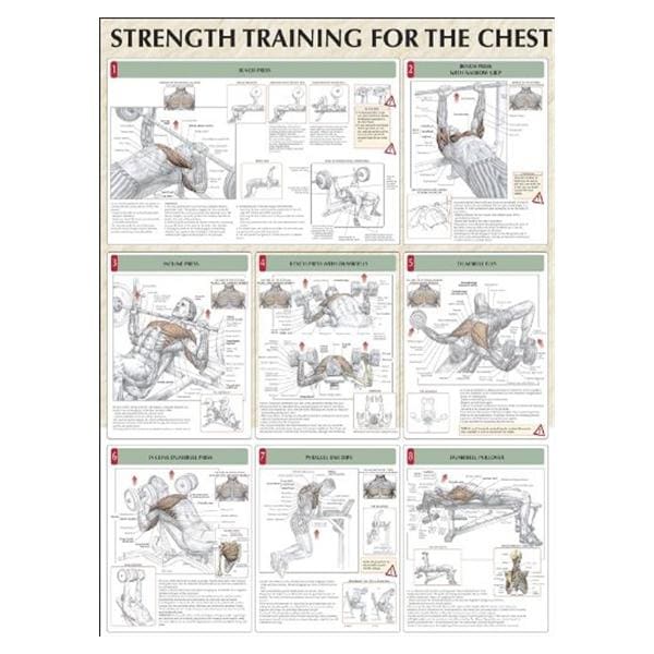 Human Kinetics, Inc Poster Instructional Strength Training for the Chest 24x31" Eachch - 736059350