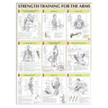 Human Kinetics, Inc Poster Instructional Strength Training for the Arms 24x31" Eachch - 736059334