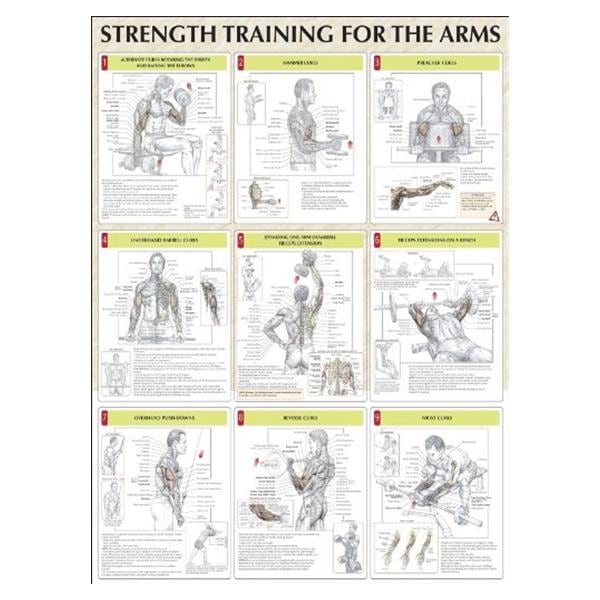 Human Kinetics, Inc Poster Instructional Strength Training for the Arms 24x31" Eachch - 736059334