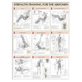 Human Kinetics, Inc Poster Instructional Strength Training for the Abdomen 24x31" Eachch - 736059369