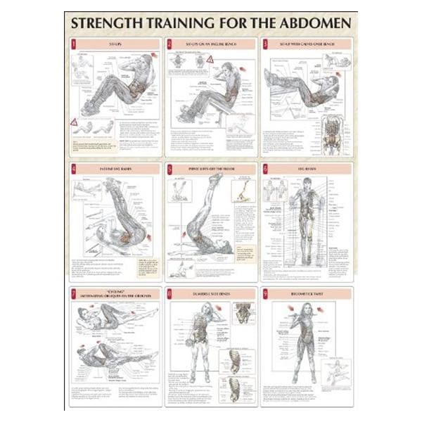 Human Kinetics, Inc Poster Instructional Strength Training for the Abdomen 24x31" Eachch - 736059369