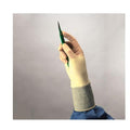 Cardinal Health Gloves Surgical Protexis PI Classic PF Polyisoprene LF 12 in 6 Strl Cream 50/Bx, 4 BX/CA - 2D72PL60X