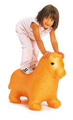 Togu Pediatric Inflatable Lion, 20" x 3" - FE-30-4300
