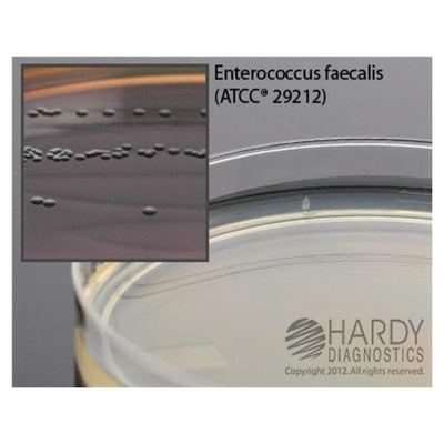 Hardy Diagnostics KwikSwab Control Organism S. Aureus ATCC 29213 Each - 0713P