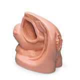 Nasco Healthcare, Inc Simulator Catheterization Life/form Female Adult Each - LF01151