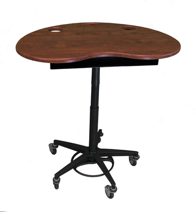 omnimed Artisan Style Mobile Kidney Laptop & Tablet Stand & Accessories