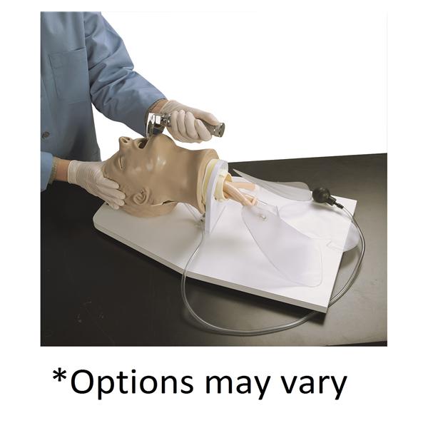 Nasco Healthcare, Inc Trainer Airway Management Each - LF03699