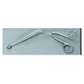 Chanby, Inc Forcep Catheter Magill 10" Thumb Handle Straight Each, 12 Each/CA - CH 339