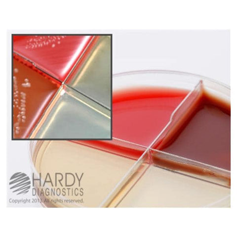 Hardy Diagnostics TSA: Trypticase Soy Agar Culture Quad Plate 10/Bx - J71