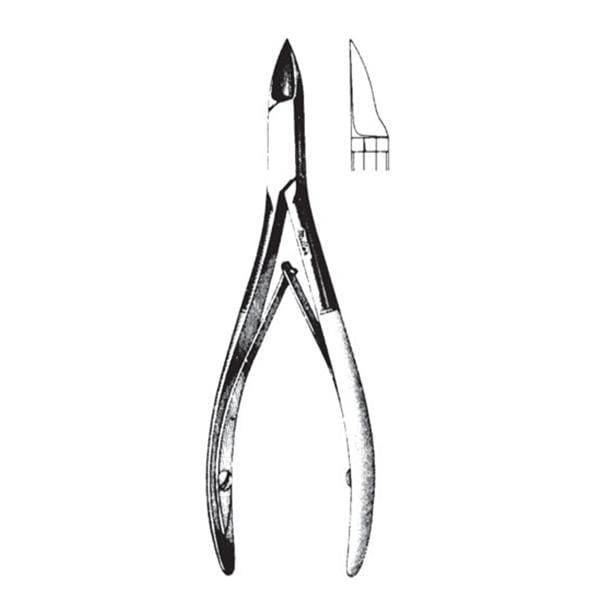 Derron Surgical Instruments Nipper Nail Webster 5" Stainless Steel 1/Ea - 1292