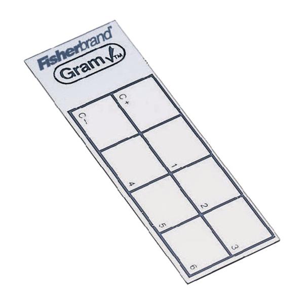 Fisher Scientific Co. GramO Gram Check Test Control 50/PK - 08-801
