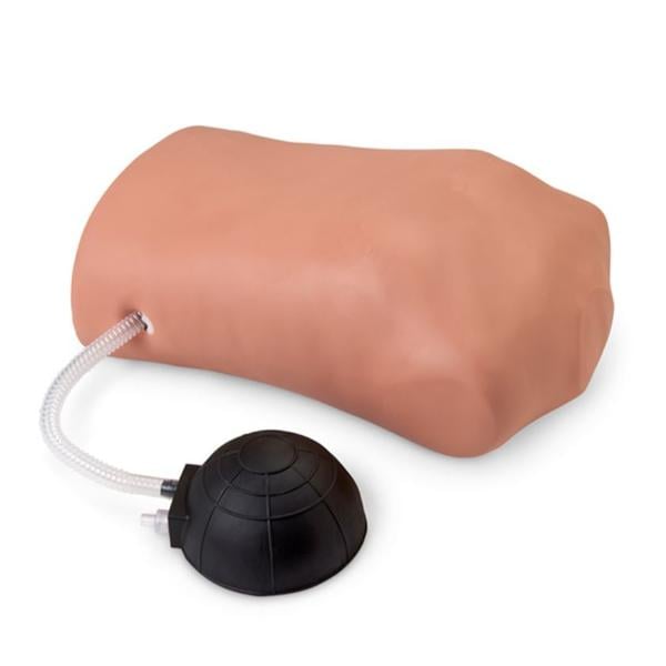 Nasco Healthcare, Inc Simulator Pneumothorax Each - 150-1800