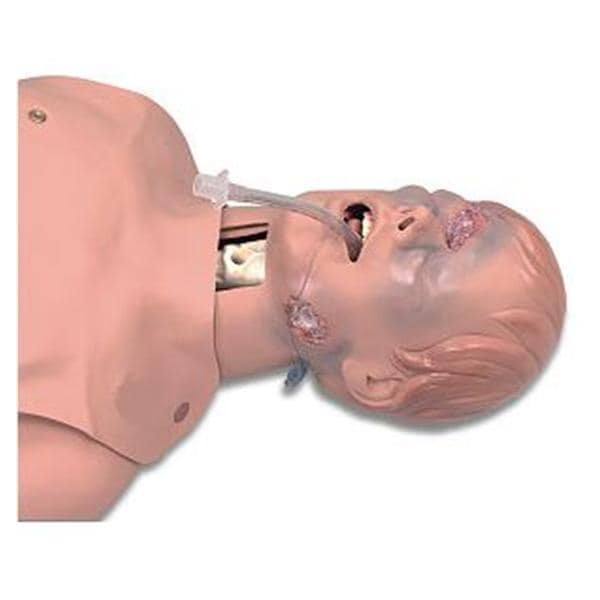 Nasco Healthcare, Inc Upper Half Manikin Training Critical Airway Male Adult Light Skin Each - 101-060