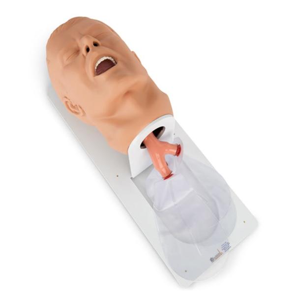 Nasco Healthcare, Inc Trainer Airway Management Economy Adult Each - 101-500