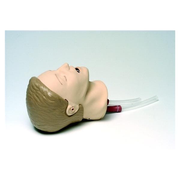 Laerdal Medical Corp Head Intubation Resusci Anne Each - 316000
