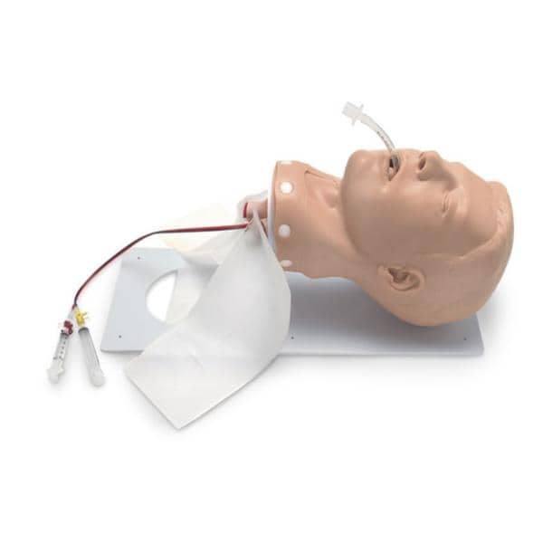 Nasco Healthcare, Inc Head Manikin Training Deluxe Airway Male Adult Light Skin Each - 101-502