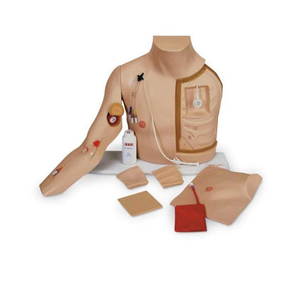 Nasco Healthcare, Inc Trainer Catheterization Chester Chest Each - SB18636