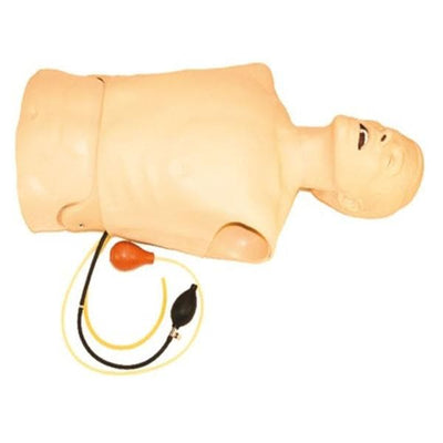 Laerdal Medical Corp Torso/Airway Manikin Training Kelly Each - 260-00001
