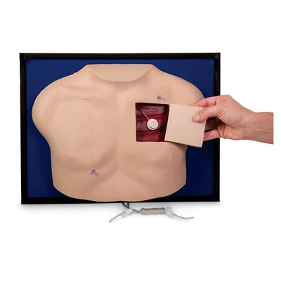 Nasco Healthcare, Inc Model Venous Access Device Deluxe Each - SB23493