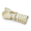 Nasco Healthcare, Inc Trachea Replacement Adult Each - 101-137