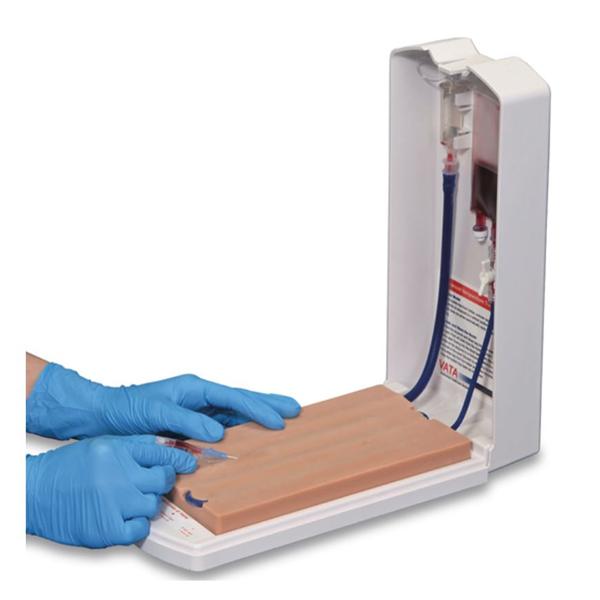 Nasco Healthcare, Inc Simulator Four-Vein Venipuncture Advanced Each - SB29869