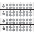 CSV1000E CONTRAST CHARTS