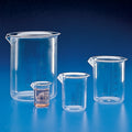 Globe Scientific Beaker, PMP (TPX), Printed Graduations