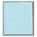 Tidi Products LLC Drape Sheet Exam / Stretcher 40 in x 48 in Blue 2 Ply 100/Case - 918313