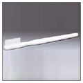Wolters Kluwer Health Inc Model Instructional Giant Toothbrush Each - W-5355