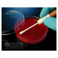 Hardy Diagnostics KwikSwab Control Organism S. Aureus Subsp ATCC 12228 Each - 0571P