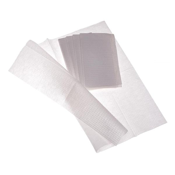 Medline Industries Inc Towel Professional 13 in x 19 in Blue 2 Ply Tissue / Poly 500/Case - NON24356B