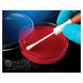 Hardy Diagnostics KwikSwab Streptococcus Agalactiae - Control Organism 2/Pk - 0710P