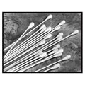 Fox Converting Inc Applicator Swab Phoenix Rayon Tip 16 in 50/Bx - 107016600