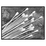 Fox Converting Inc Applicator Swab Phoenix Rayon Tip 16 in 50/Bx - 107016600
