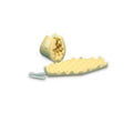 Span America Medical Protector Span+Aids Elbow Eggcrate Foam Beige Universal 20Pr/Ca - SP190-000
