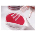 Gibson Bioscience Tri-Valent Control Organism Swab 5/Cn - 21200505