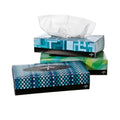 Medline Industries Inc Tissue Facial GreenSmart White 2 Ply 100/Bx, 36 BX/CA - NON245277