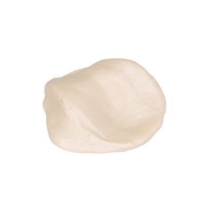 Patella