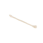 Human Fibula Model - 3B Smart Anatomy