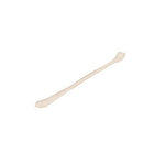 Human Fibula Model - 3B Smart Anatomy