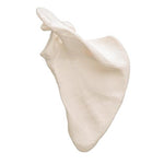 Human Scapula Model - 3B Smart Anatomy
