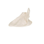 Human Scapula Model - 3B Smart Anatomy