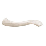 Human Clavicle Model - 3B Smart Anatomy
