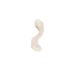 Human Clavicle Model - 3B Smart Anatomy
