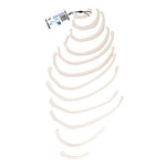Human Ribs Modle - 3B Smart Anatomy
